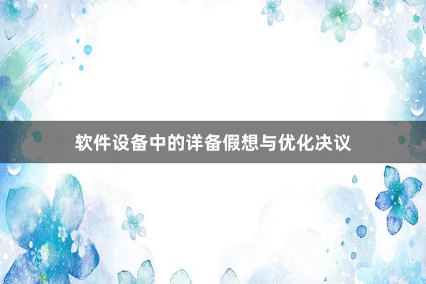 软件设备中的详备假想与优化决议