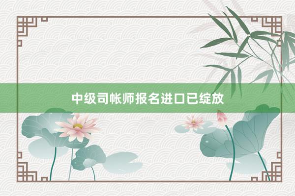 中级司帐师报名进口已绽放